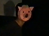 A pig-headed perspective