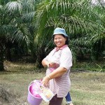 Payajok, 50. Two thirds of her land and crops were destroyed by Rinwood Pelita Plantation in 1996. Later, she and her husband planted oil palm on their remaining land.