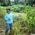 Acting Tuai Rumah Lah Anyie gestures towards grass that he claimed was dying because of weedkiller sprayed right up to the river. Right behind him is the river, Sungai Tegai. Villagers deem its water no longer safe for drinking after they found dead fishes in it.