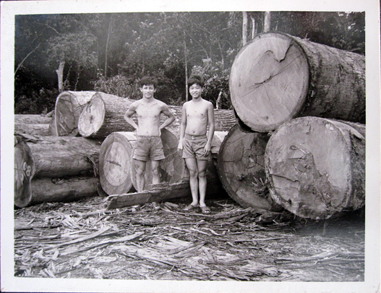 Bekok, Segamat: the place of work for Teo's father, 1978