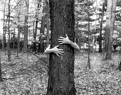 A tree hugger (sxc.hu)