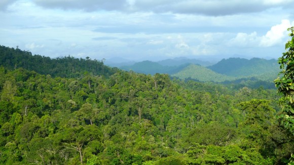 Baram Valley. (Pic courtesy of Gan Pei Ling)