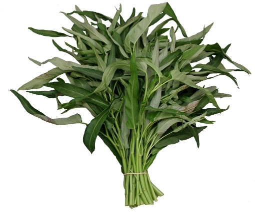 kangkung (wiki)